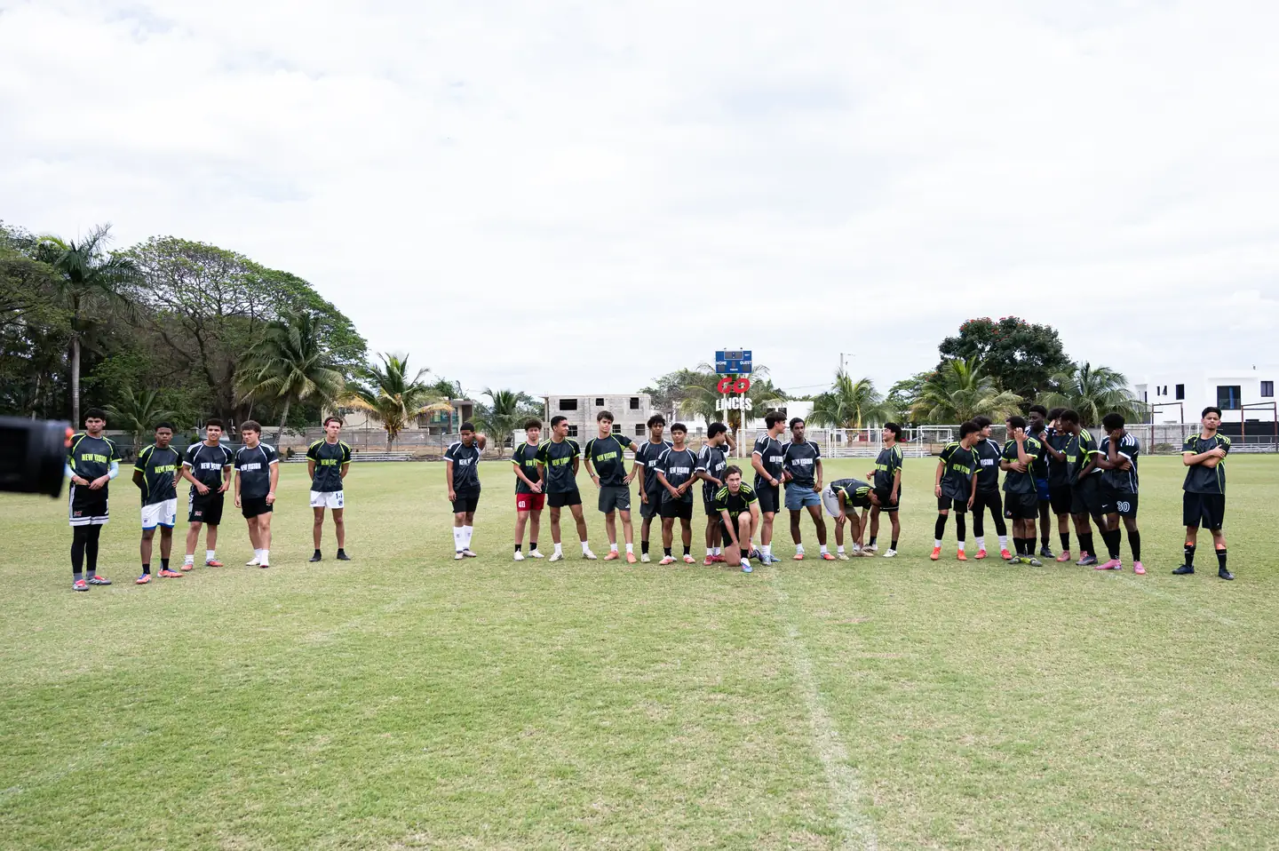 NCAA D1, D2 y D3: diferencias reales para atletas internacionales