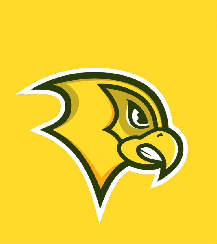 Felician University